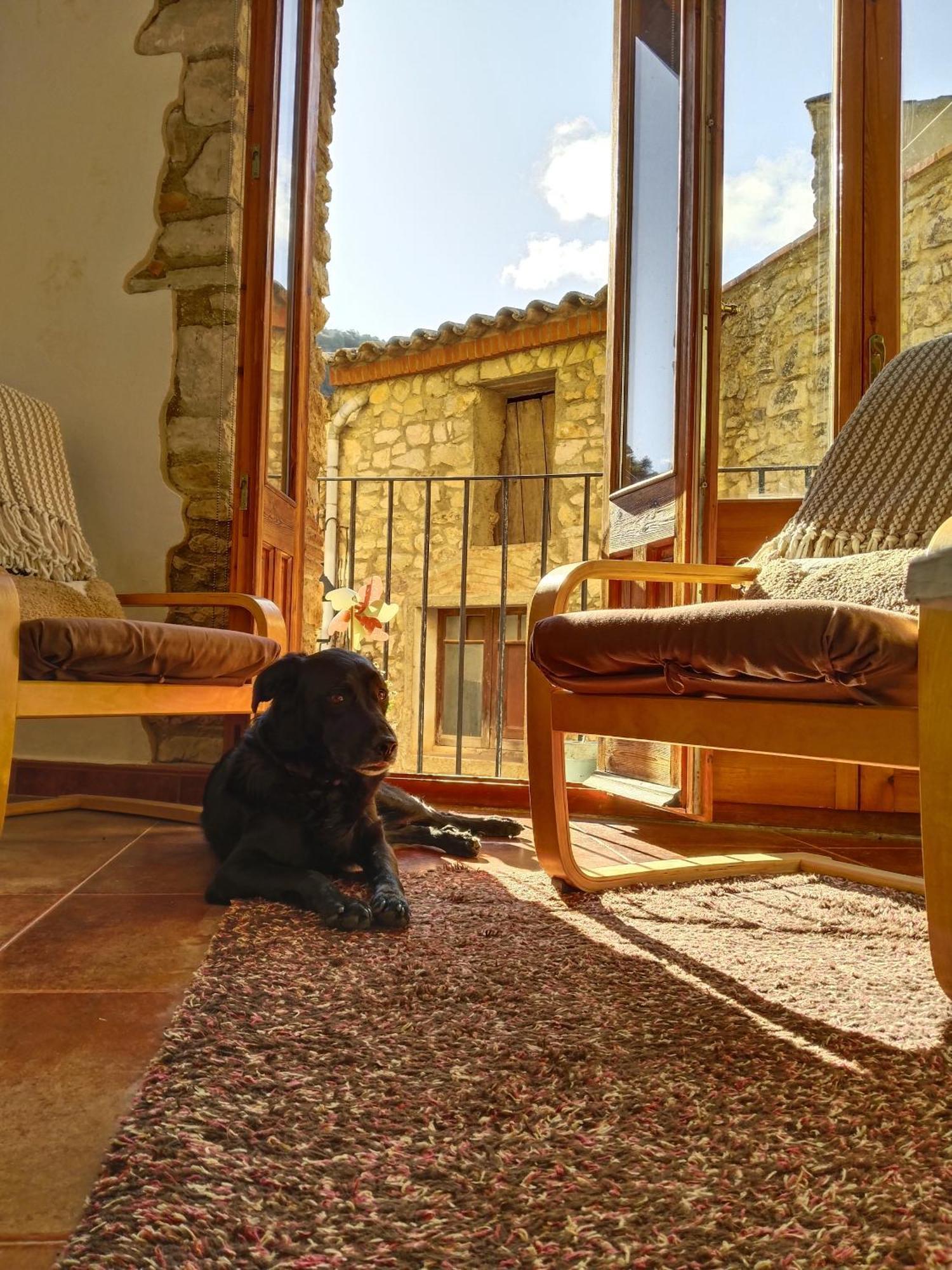 El Refugi Hostel Arboli Buitenkant foto